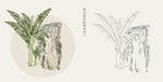 国画风植物