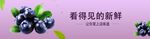 蓝莓广告