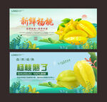杨桃