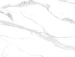 最 新上架爵士白 TIf合层l