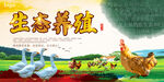 家禽