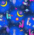 太空骆驼
