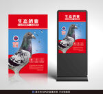 鸽子海报平面展开图