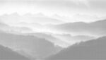 山