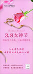 三八女神节  粉色展架