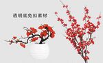红梅