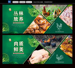 鸡肉广告