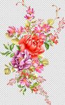 手绘玫瑰花