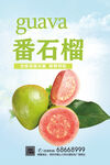 番石榴