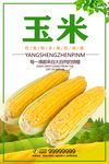 玉米
