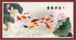 鱼鱼得水