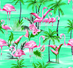 火烈鸟