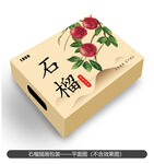 石榴插画平面图设计