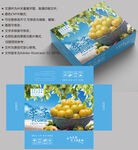 李子包装 水果盒子
