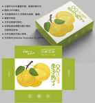 李子包装 水果盒子