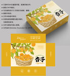 杏子包装 水果盒子