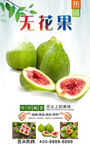 无花果 