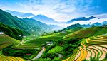 田园风光