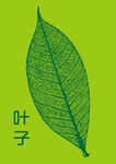 叶子