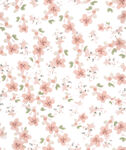 小花