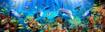 梦幻海底世界海豚珊瑚水族馆背景