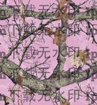 粉底大牌树枝