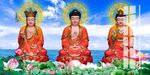 娑婆三圣