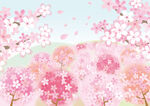 樱花烂漫