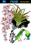 中国风花鸟图