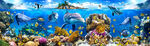 海底世界海豚主题馆3D全屋背景
