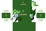 白色草莓包装