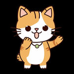 小猫