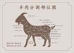 羊肉部位图