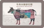 牛肉分解图