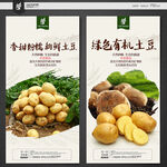 土豆