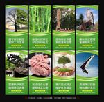 社区矫正