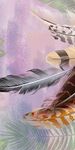 爆款 清晰欧式玄关 TIf分层