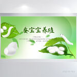 养蚕介绍蚕宝宝养殖背景展板海报