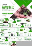 植物发芽植物生长敬畏生命ppt