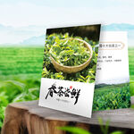 春茶绿茶茶叶介绍卡片名片设计