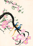 国风插画