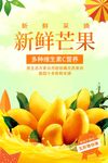 新鲜芒果