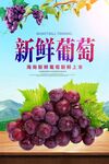 新鲜葡萄