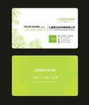 绿色名片