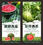 西瓜