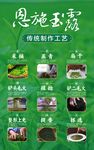 恩施玉露