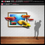 3D相框金龙鱼立体画