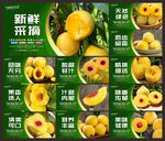 黄桃