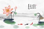国画荷花
