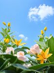 花朵自然特写淘宝电商海报背景图